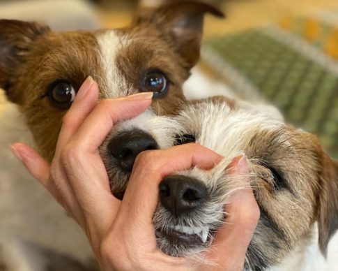 ARSベーシックコース